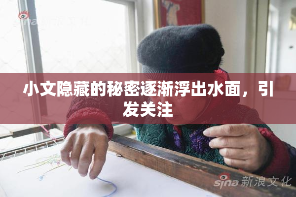 小文隐藏的秘密逐渐浮出水面，引发关注