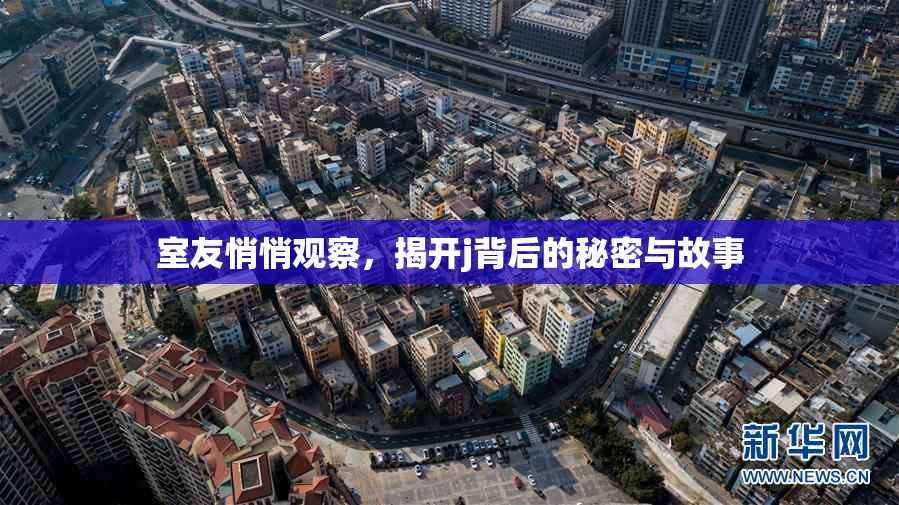 室友悄悄观察，揭开j背后的秘密与故事