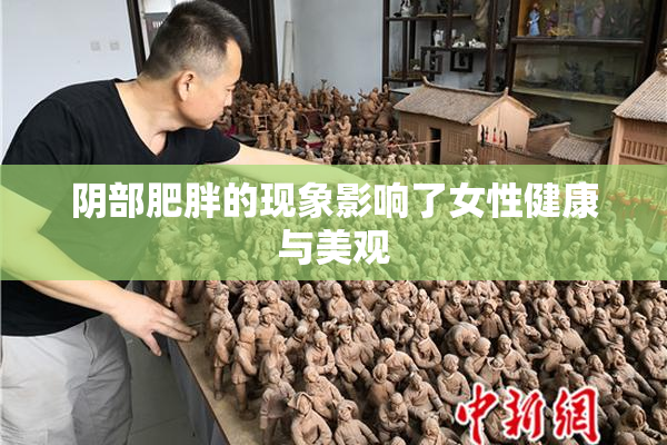 阴部肥胖的现象影响了女性健康与美观