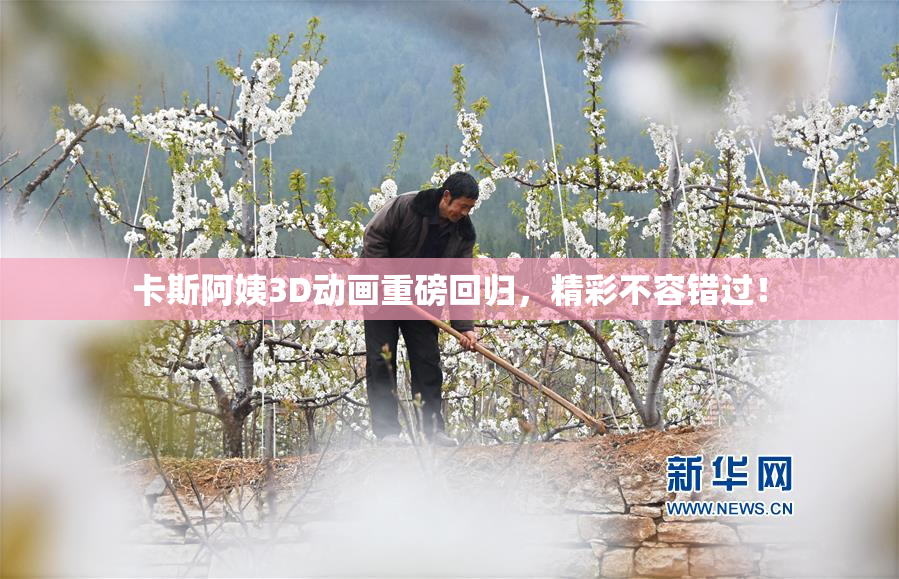 卡斯阿姨3D动画重磅回归，精彩不容错过！