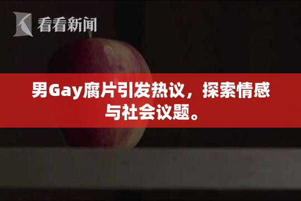 男Gay腐片引发热议，探索情感与社会议题。