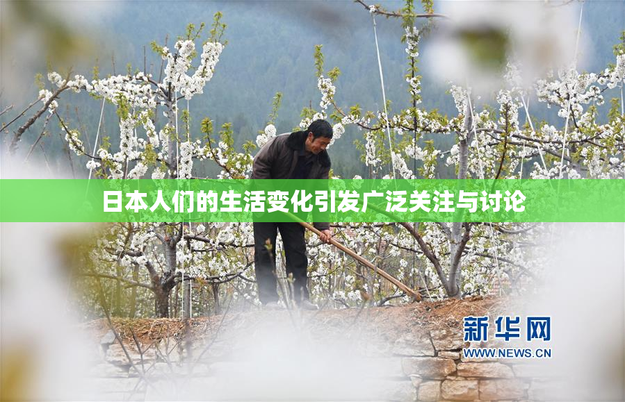 日本人们的生活变化引发广泛关注与讨论