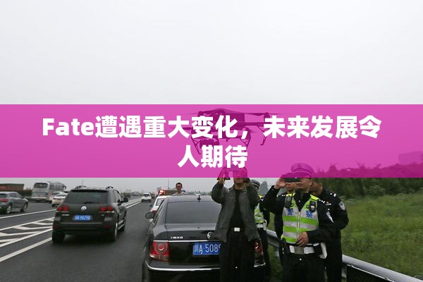 Fate遭遇重大变化，未来发展令人期待