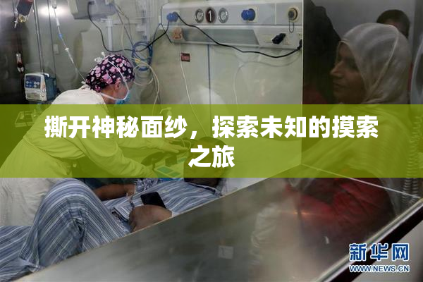 撕开神秘面纱，探索未知的摸索之旅