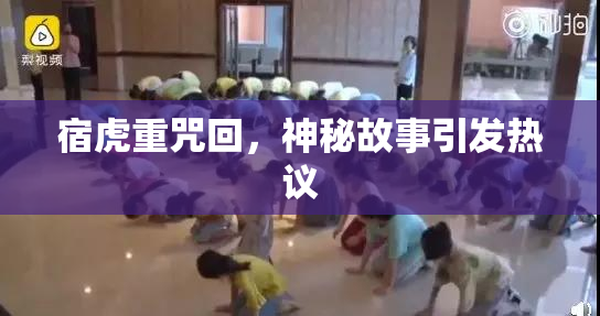 宿虎重咒回，神秘故事引发热议