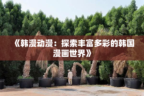 《韩漫动漫：探索丰富多彩的韩国漫画世界》