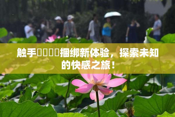 触手❌‌❌‌捆绑新体验，探索未知的快感之旅！
