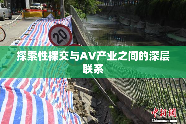 探索性裸交与AV产业之间的深层联系