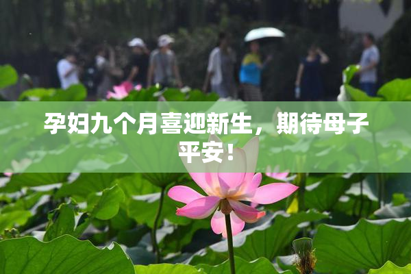 孕妇九个月喜迎新生，期待母子平安！