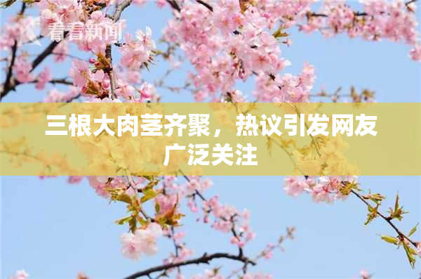 三根大肉茎齐聚，热议引发网友广泛关注