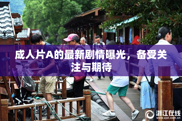 成人片A的最新剧情曝光，备受关注与期待