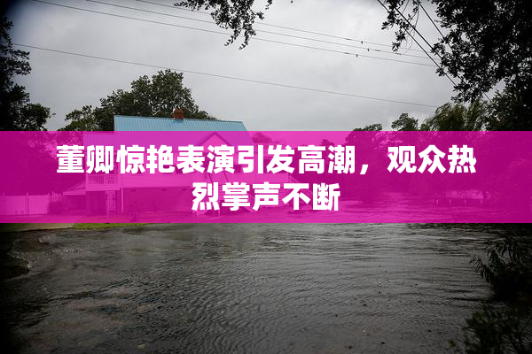 董卿惊艳表演引发高潮，观众热烈掌声不断