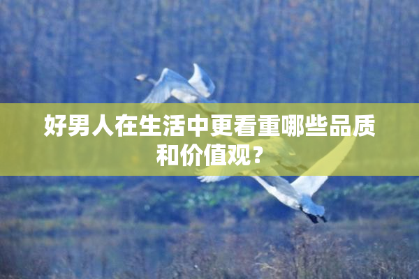 好男人在生活中更看重哪些品质和价值观？