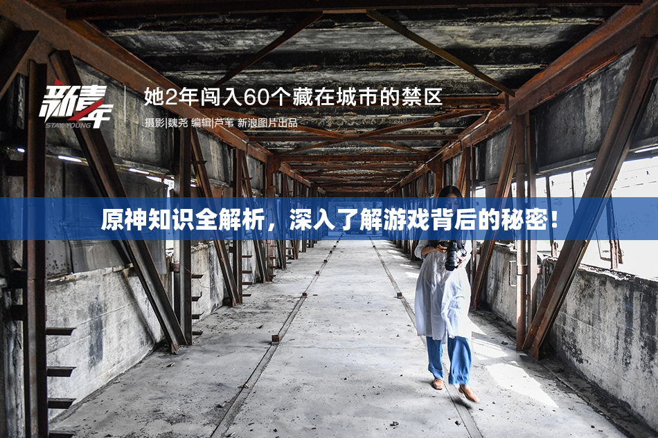 原神知识全解析，深入了解游戏背后的秘密！
