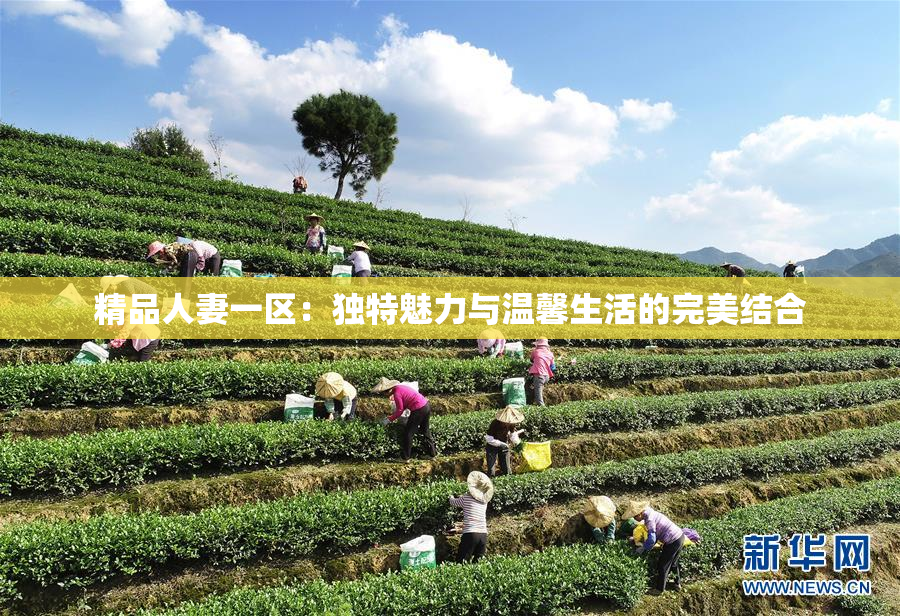 精品人妻一区：独特魅力与温馨生活的完美结合