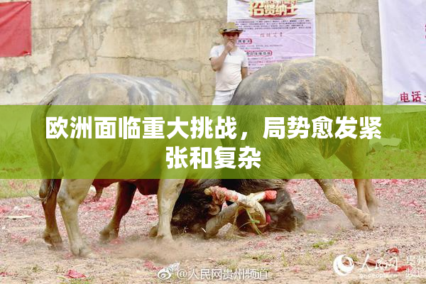欧洲面临重大挑战，局势愈发紧张和复杂