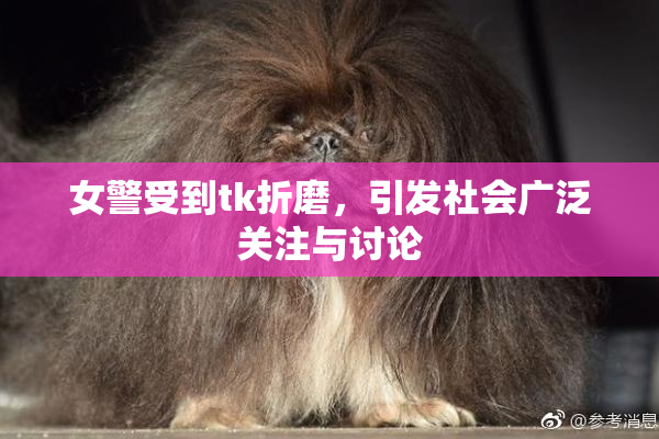 女警受到tk折磨，引发社会广泛关注与讨论