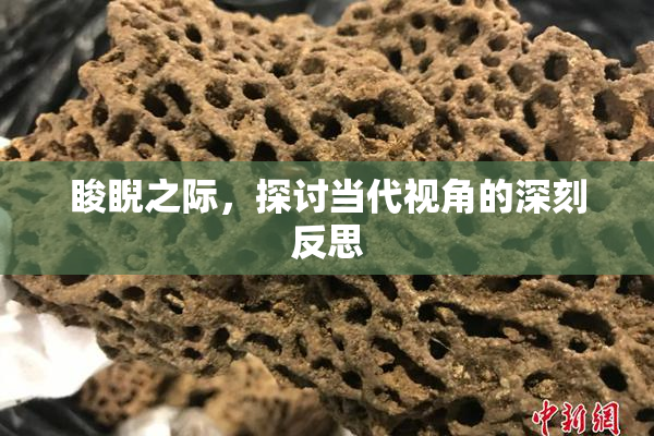 睃睨之际，探讨当代视角的深刻反思