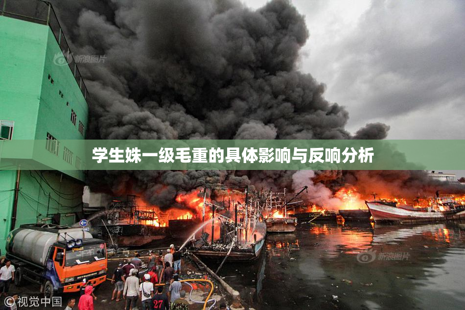 学生姝一级毛重的具体影响与反响分析