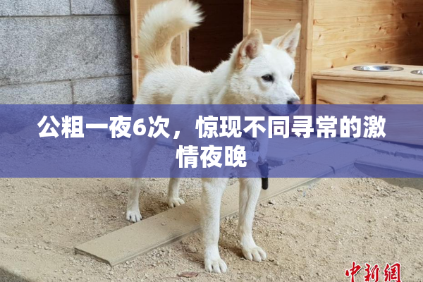 公粗一夜6次，惊现不同寻常的激情夜晚