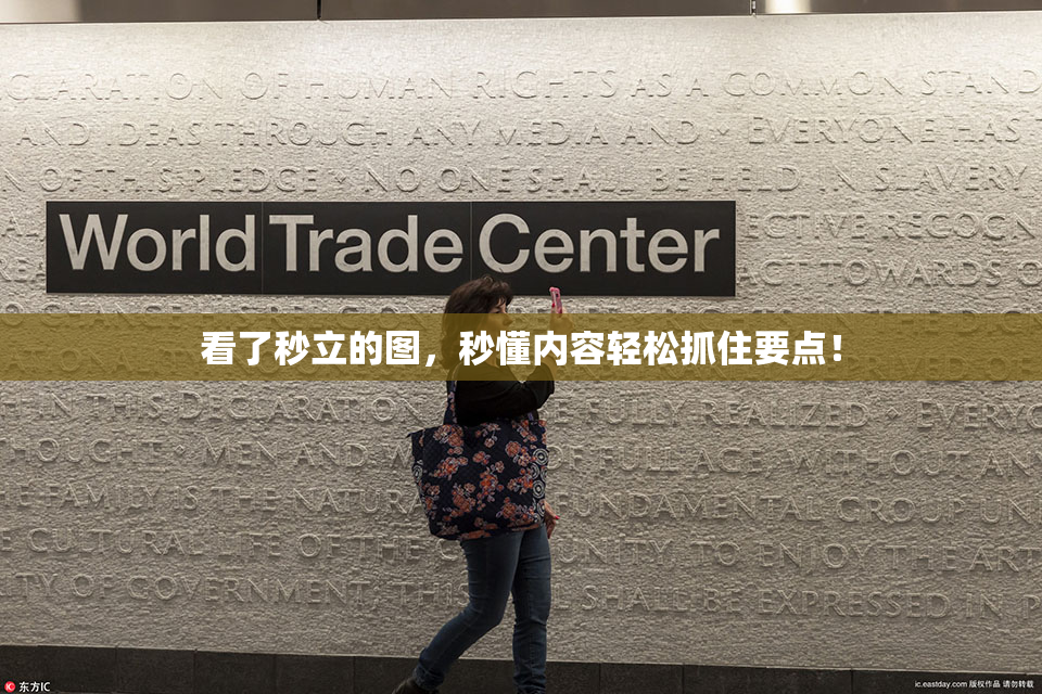 看了秒立的图，秒懂内容轻松抓住要点！