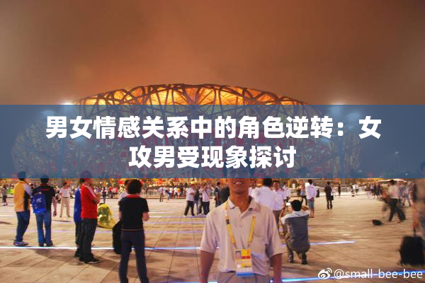 男女情感关系中的角色逆转：女攻男受现象探讨