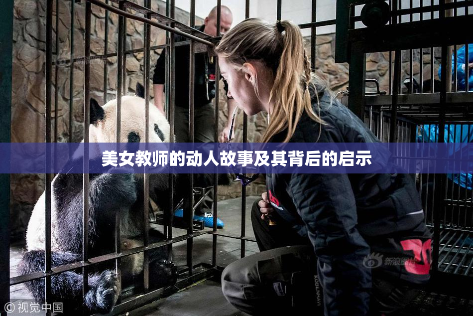 美女教师的动人故事及其背后的启示