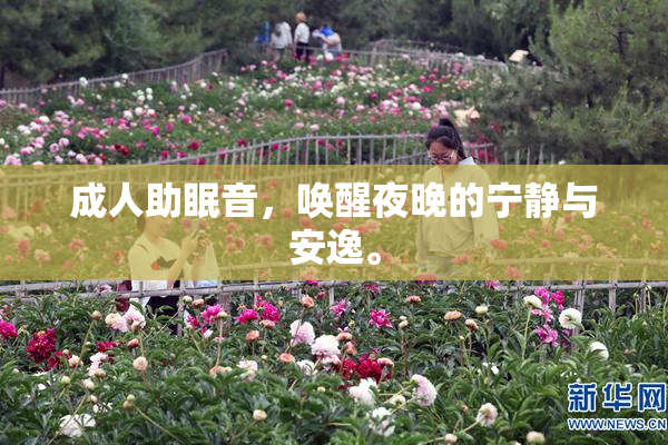 成人助眠音，唤醒夜晚的宁静与安逸。