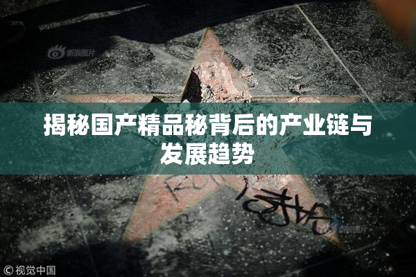 揭秘国产精品秘背后的产业链与发展趋势