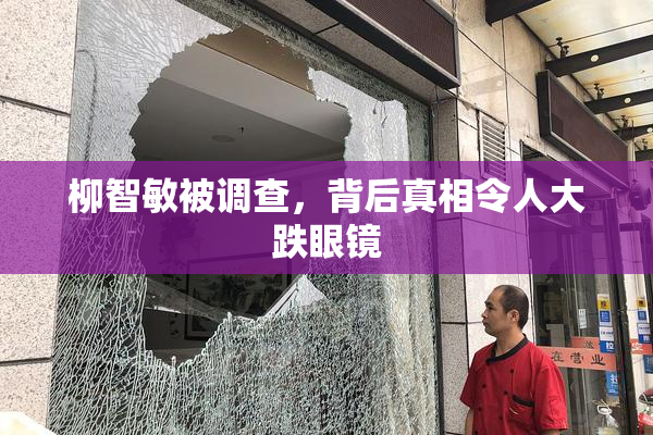 柳智敏被调查，背后真相令人大跌眼镜