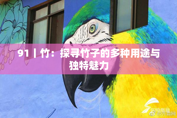 91丨竹：探寻竹子的多种用途与独特魅力