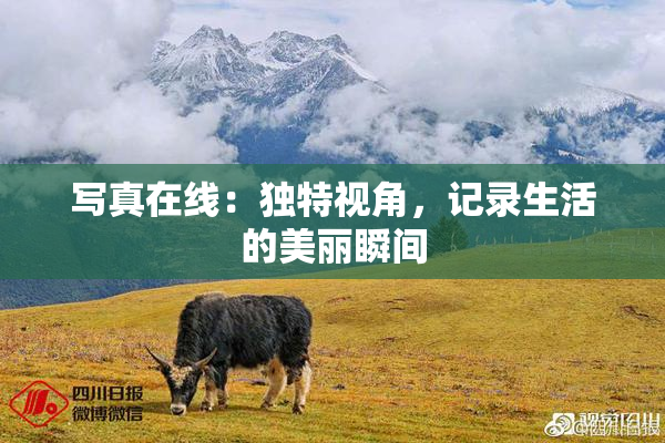 写真在线：独特视角，记录生活的美丽瞬间