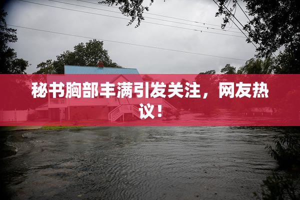 秘书胸部丰满引发关注，网友热议！