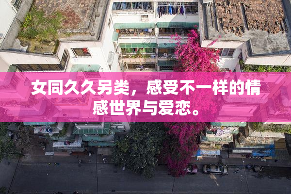 女同久久另类，感受不一样的情感世界与爱恋。