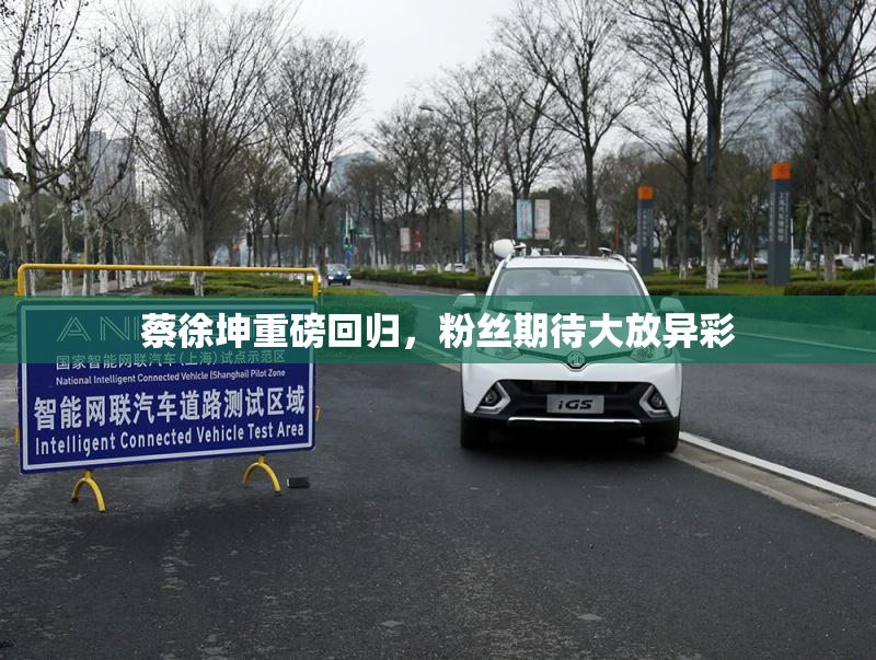 蔡徐坤重磅回归，粉丝期待大放异彩