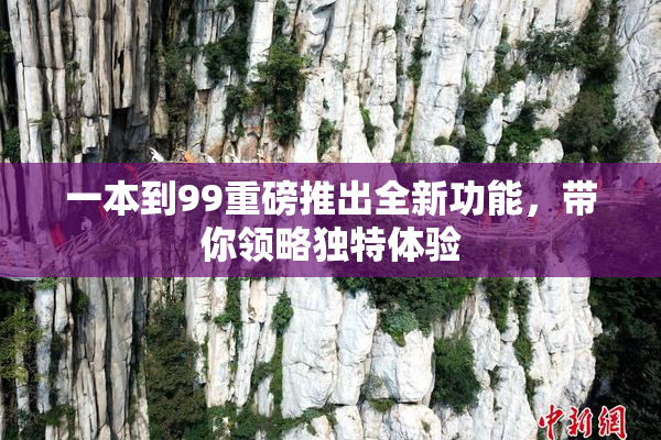 一本到99重磅推出全新功能，带你领略独特体验