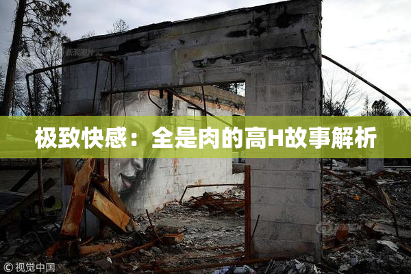 极致快感：全是肉的高H故事解析