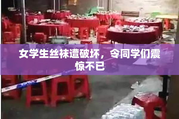 女学生丝袜遭破坏，令同学们震惊不已