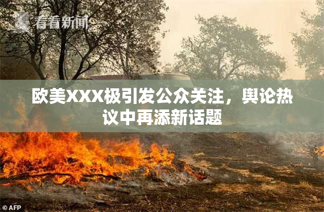 欧美XXX极引发公众关注，舆论热议中再添新话题