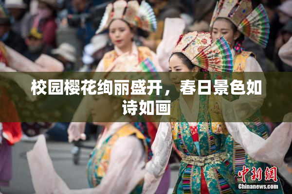 校园樱花绚丽盛开，春日景色如诗如画