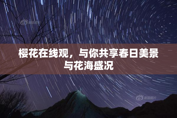 樱花在线观，与你共享春日美景与花海盛况