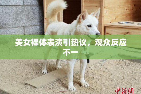美女裸体表演引热议，观众反应不一