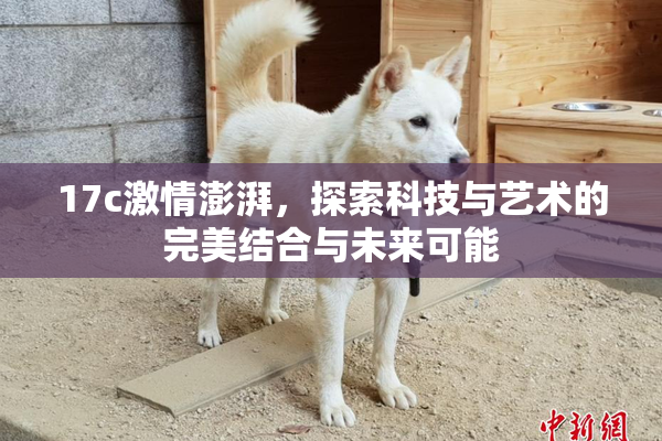 17c激情澎湃，探索科技与艺术的完美结合与未来可能
