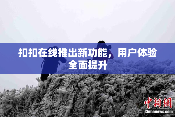 扣扣在线推出新功能，用户体验全面提升