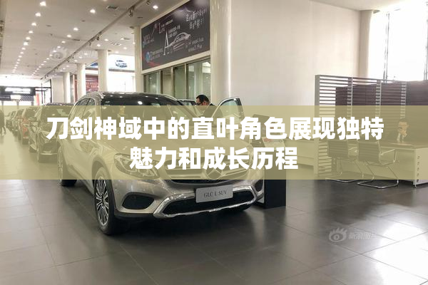 刀剑神域中的直叶角色展现独特魅力和成长历程