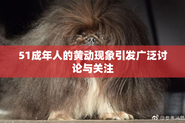 51成年人的黄动现象引发广泛讨论与关注