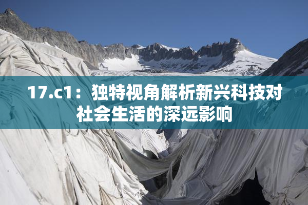 17.c1：独特视角解析新兴科技对社会生活的深远影响