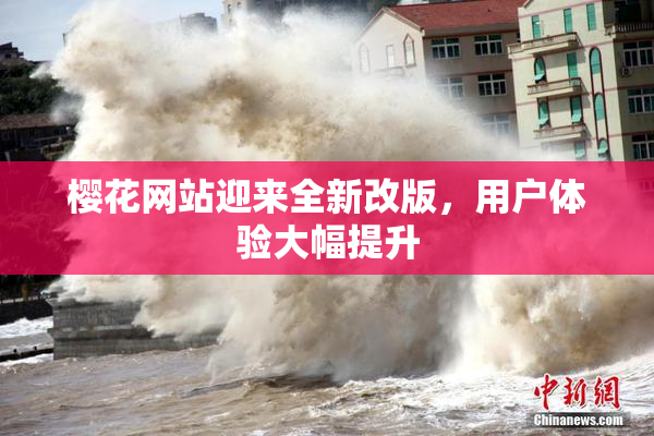 樱花网站迎来全新改版，用户体验大幅提升