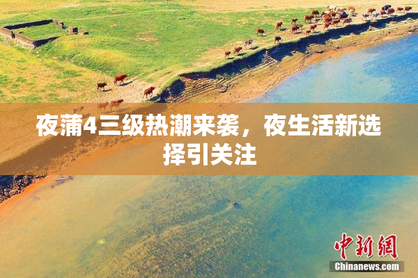 夜蒲4三级热潮来袭，夜生活新选择引关注