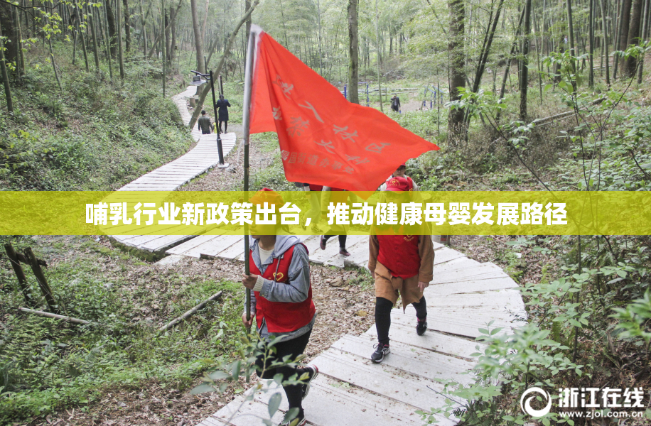 哺乳行业新政策出台，推动健康母婴发展路径